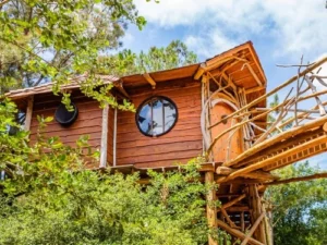 Hobbit Nest Treehouse