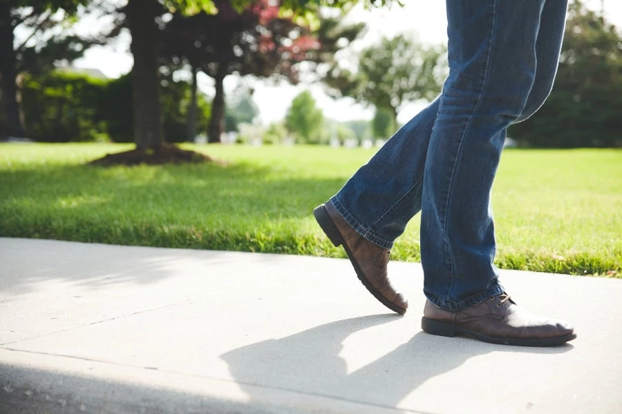 Who Invented Walking: The Journey To Bipedalism