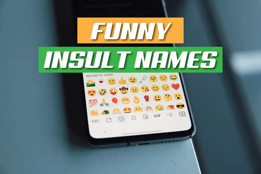 Funny Insult Names Roasting With Laughter 